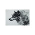 Ink Wolf Morphs into Smoke
