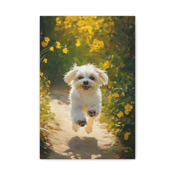 "Joyful Maltese Pup in Motion"