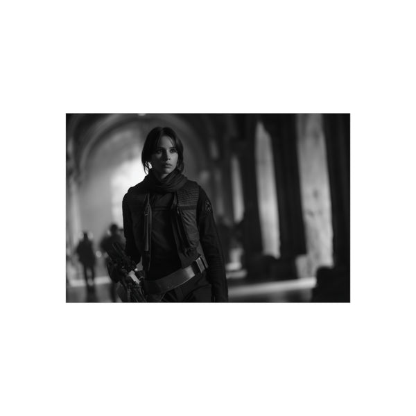 "Jyn Erso Death Star Plans"