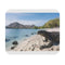 Komodo Dragon Paradise Mouse Pad