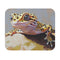 Leopard Gecko Mouse Pad Adorable and Colorful Design