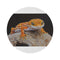"Leopard Gecko Round Rug: Gecko Chic"