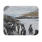 Macquarie Island Penguin Paradise Mouse Pad