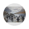"Macquarie Island Wildlife Round Rug"