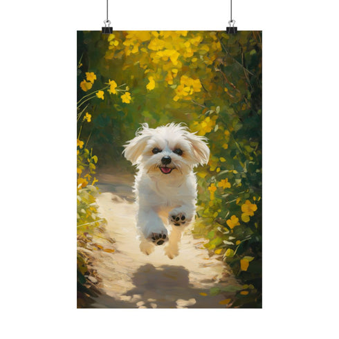 "Majestic Maltese: Running into Hearts"