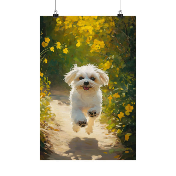 "Majestic Maltese: Running into Hearts"