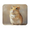Mongolian Gerbil Masterpiece Mouse Pad