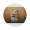"Mongolian Gerbil Masterpiece Round Rug"