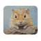 Mongolian Gerbil Painted Mouse Pad Cute and Colorful Design