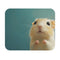 Mongolian Gerbil Painting Mouse Pad