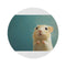 "Mongolian Gerbil Round Rug - Adorable Gerbil Art"