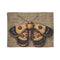 "Moth on Burlap Bed Cover"