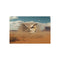Mystical Desert Owl Wind Poster.