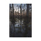 "Mystical Twilight in Southern Swamp"