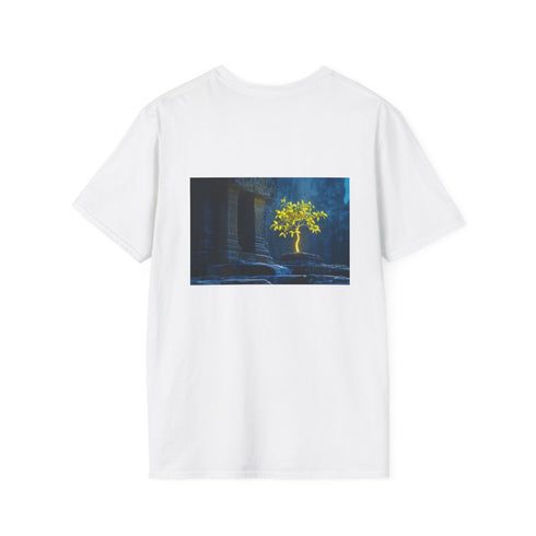 Neon Tree Stone Temple Tee.