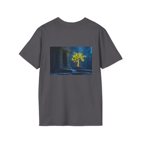 Neon Tree Stone Temple Tee.