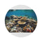 "Ocean Oasis Coral Reef Rug"