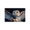 Owl with Celestial Constellation Wings
