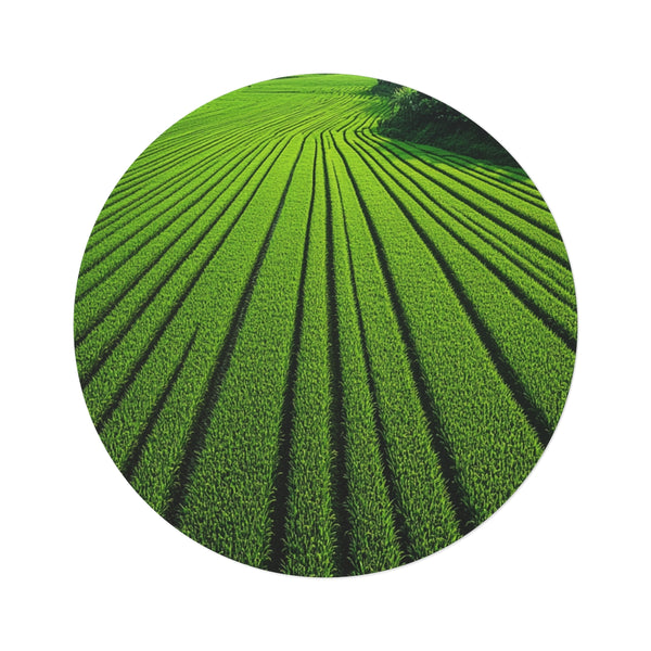 "Paddy Paradise Round Rug"