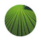 "Paddy Paradise Round Rug"