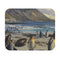 Penguin and Seal Paradise Mouse Pad