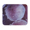 Purple Grape Dream Mouse Pad