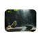 "Quantum Fox Bath Mat Wonderland"