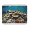 Reef Rendezvous Mouse Pad Dive into Australias Great Barrier
