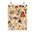 "Retro Mushroom Magic: Vintage Illustration"