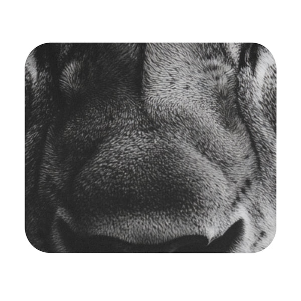 Roar into productivity with Lion Eyes