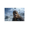 Roaring Chewbacca Battle Scene Poster