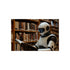 "Robot Librarian in Digital Archives"