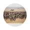 "Serengeti Safari Round Rug"