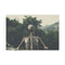 Skeleton with Tree Growing from Spine — 24×16 Canvas Wall Art — Front Gallery-Wrapped Canvas View