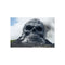 Skull-Shaped Volcano Eruption Poster