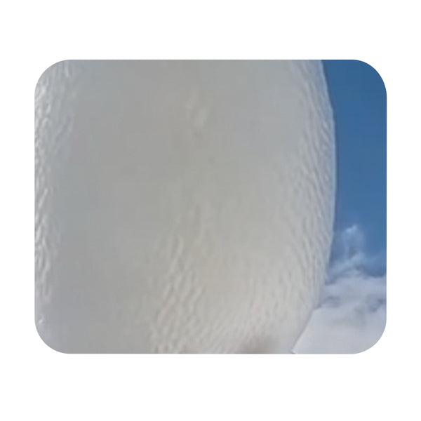 Sky Soaring Penguin Mouse Pad