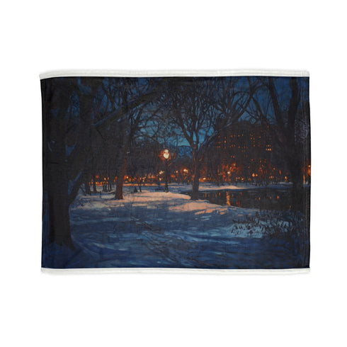 "Snowy Central Park Night Dream"
