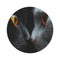 "Sports Art Fuzzy Round Rug"