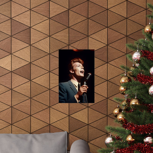 Starman David Bowie concert performance poster 12x18 matte paper.