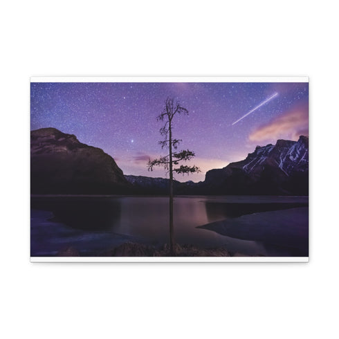 "Starry Night at Minnewanka Tree"