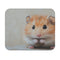 Syrian Hamster Cutie Mouse Pad