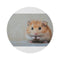 "Syrian Hamster Cutie Round Rug"