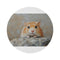 "Syrian Hamster Round Rug: Adorable Painting Gem"