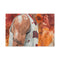 Trae Young — 24×16 Canvas Wall Art — Front Gallery-Wrapped Canvas View