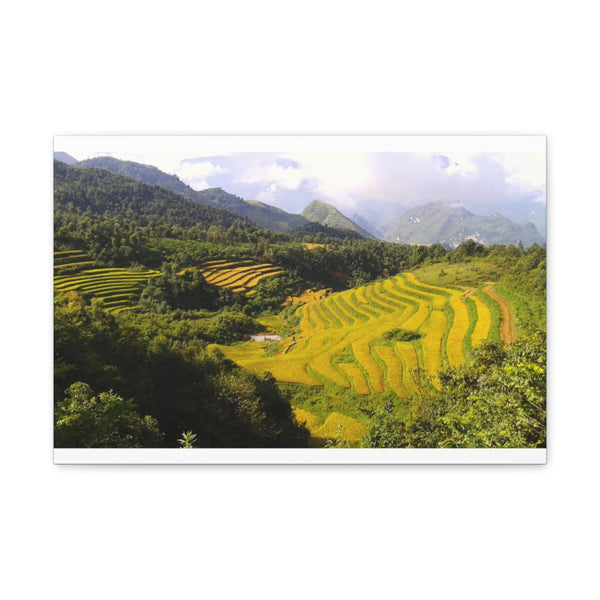 "Vibrant Visions of Cultural Vietnam"