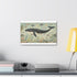 Vintage ocean life canvas print with intricate 18th-century sea creature illustrations.