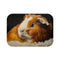 "Whimsical American Guinea Pig Bath Mat: Cute Painted Design!"
