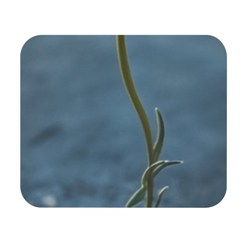 Whimsical Daisy Field Mouse Pad