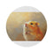 "Whimsical Syrian Hamster Round Rug"