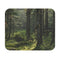 Wilderness Escape Mouse Pad